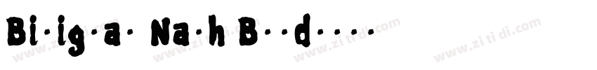 Biligyar Nash Bold字体转换